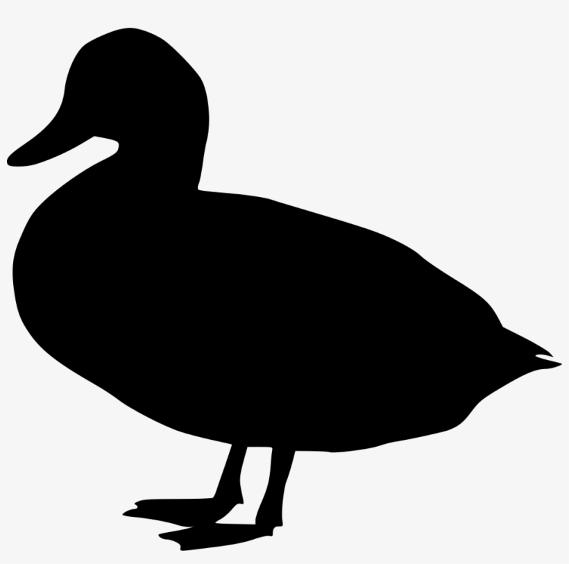 Duck Comments - Duck Svg, transparent png