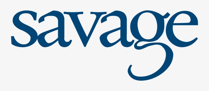 Savage And Associates, Inc - Savage And Associates, transparent png