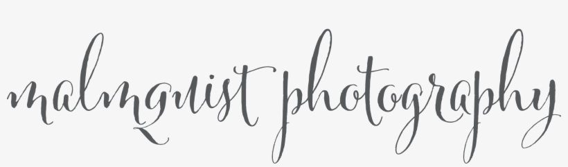 Malmquist Photography - Cherish: The One Word That Changes Everything, transparent png