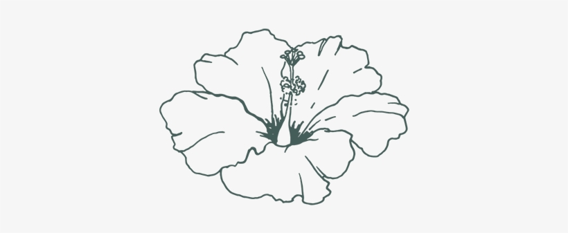 No-churn Mango Vanilla Bean Ice Cream - Jam, transparent png