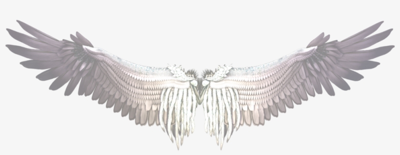 White Wings Png, transparent png