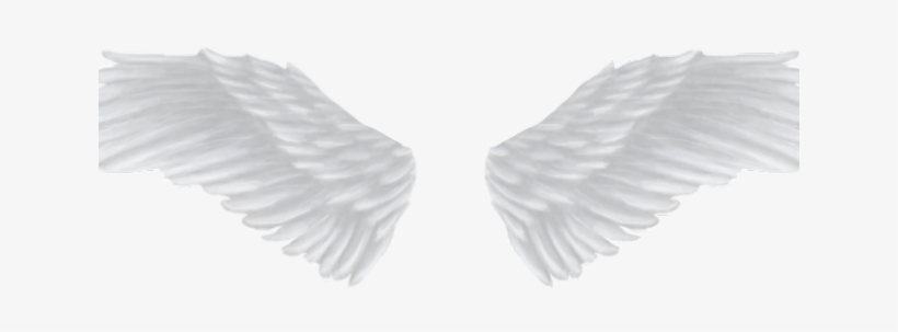 Angel Wings Png - Portable Network Graphics, transparent png