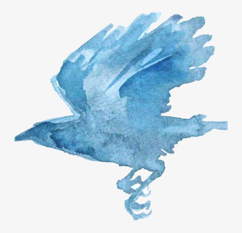 Melanie Mascarenhas - Blue-footed Booby, transparent png