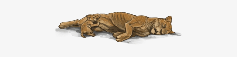 Lionessday " - Jpeg, transparent png