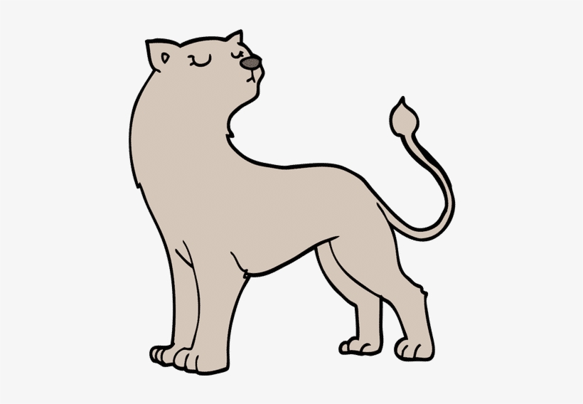 Lioness - 0shares, transparent png