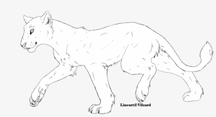 Lioness Lineart By Vilzard-d40phkt - Lioness Lineart, transparent png
