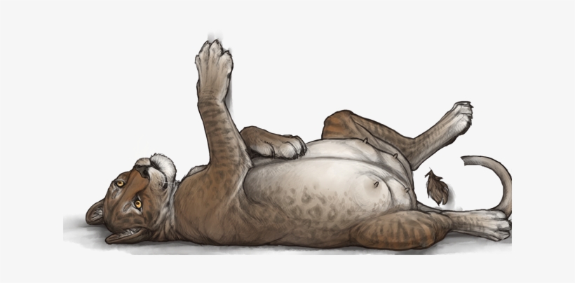 Go To Image - Lioden Pregnant, transparent png