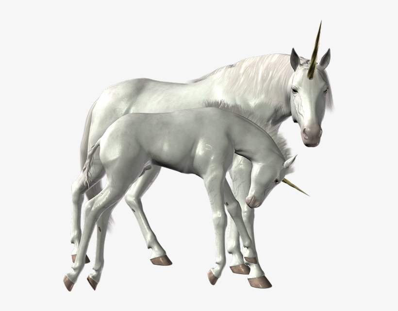 Unicorn Png Image Library - Unicorn Png Deviantart, transparent png