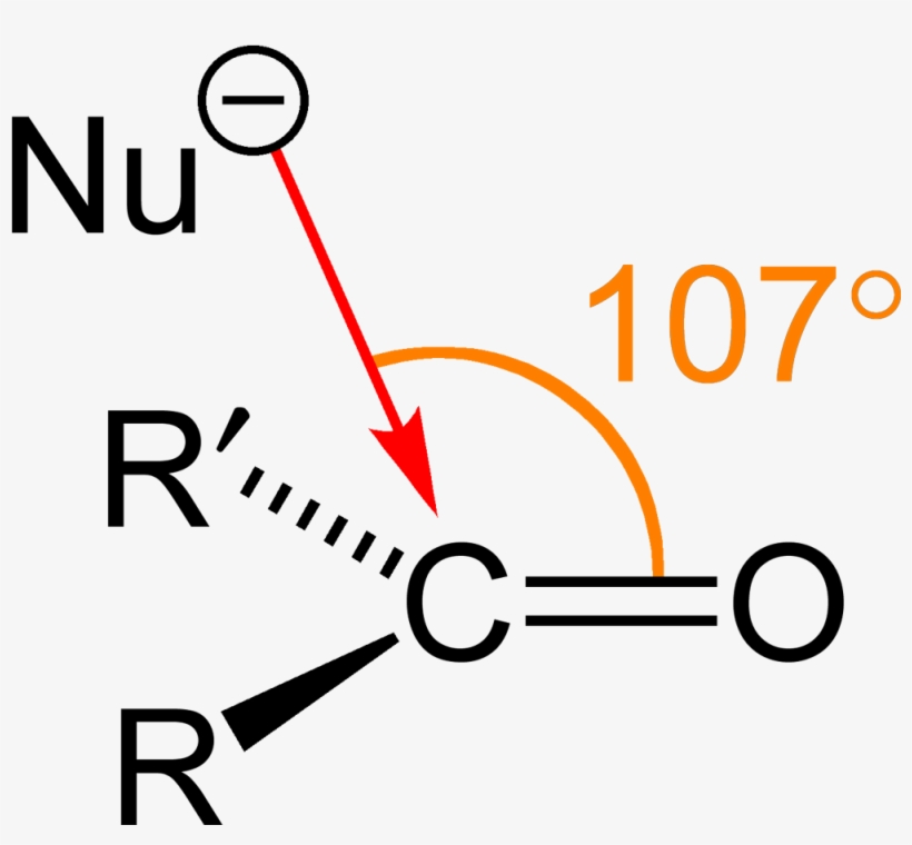 Burgi Dunitz Angle 2d - Protopine Bürgi Dunitz, transparent png