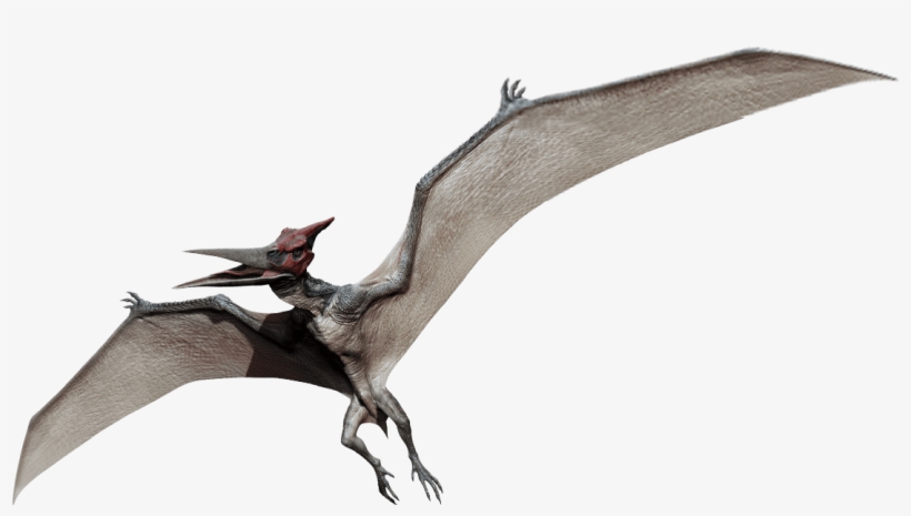 Pteranodon - 5" Jurassic World Party Napkins, Pack Of 16, transparent png