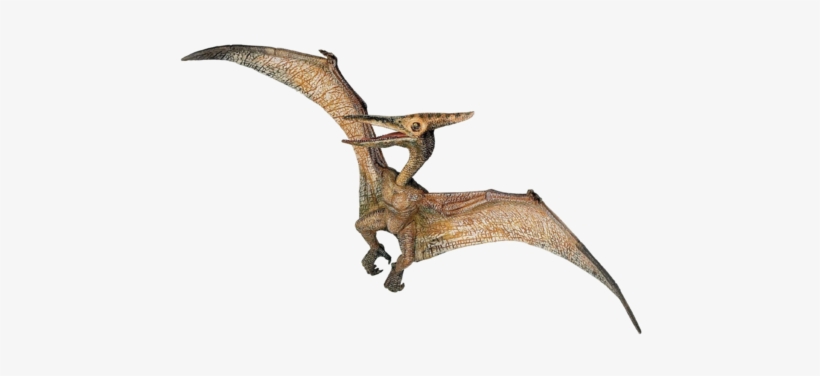 Playfield Modfather Pinball Mods - Papo Pteranodon, transparent png