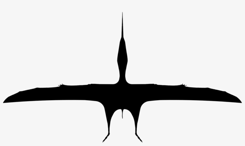 Dtapejara - Airliner, transparent png