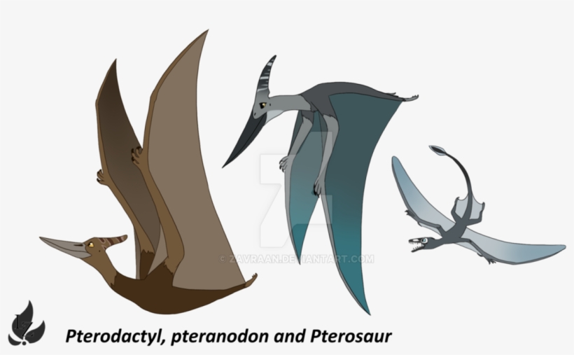 Pterosaurs Background Png - Pterosaurs, transparent png
