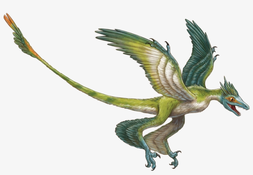 Enter Image Description Here - De Microraptor, transparent png