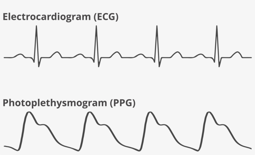 Reading The Data - Data, transparent png