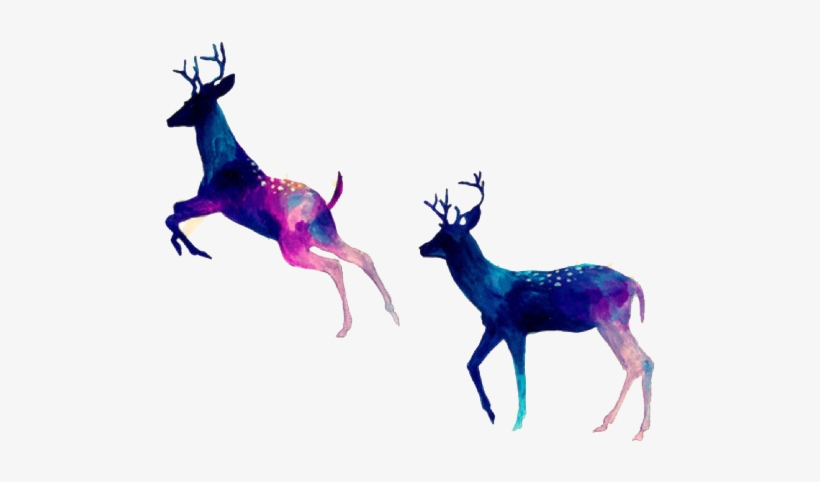 Amazing And Inspiring Images - Facebook Cover Photo Deer, transparent png