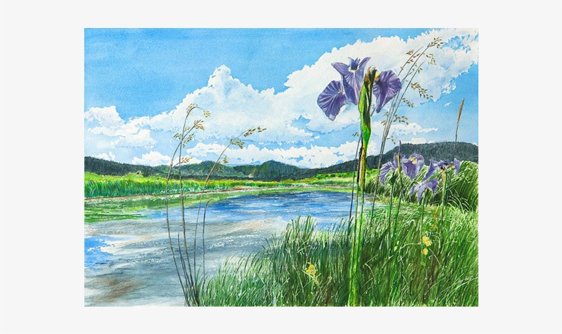 Watercolor On Paper - Painting, transparent png