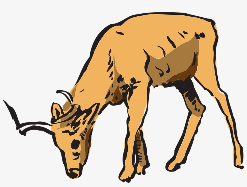 Horns Clipart Wildlife Pencil And In Color Horns Clipart - Deer Eating Clipart, transparent png