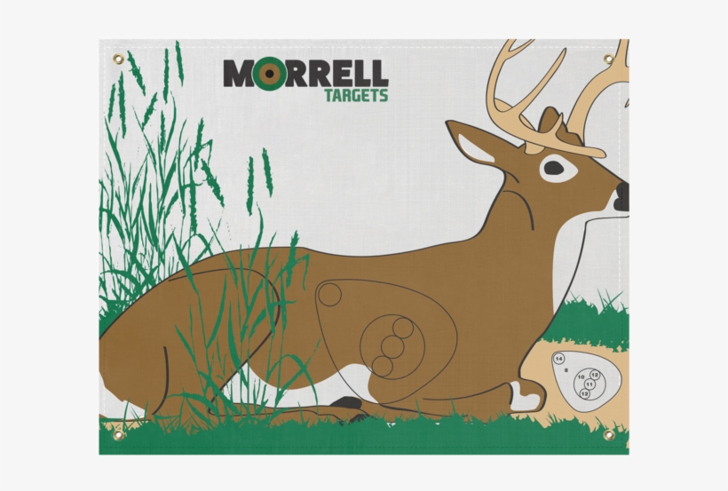 Morrell Paper Archery Target 3 Spot Pack, transparent png