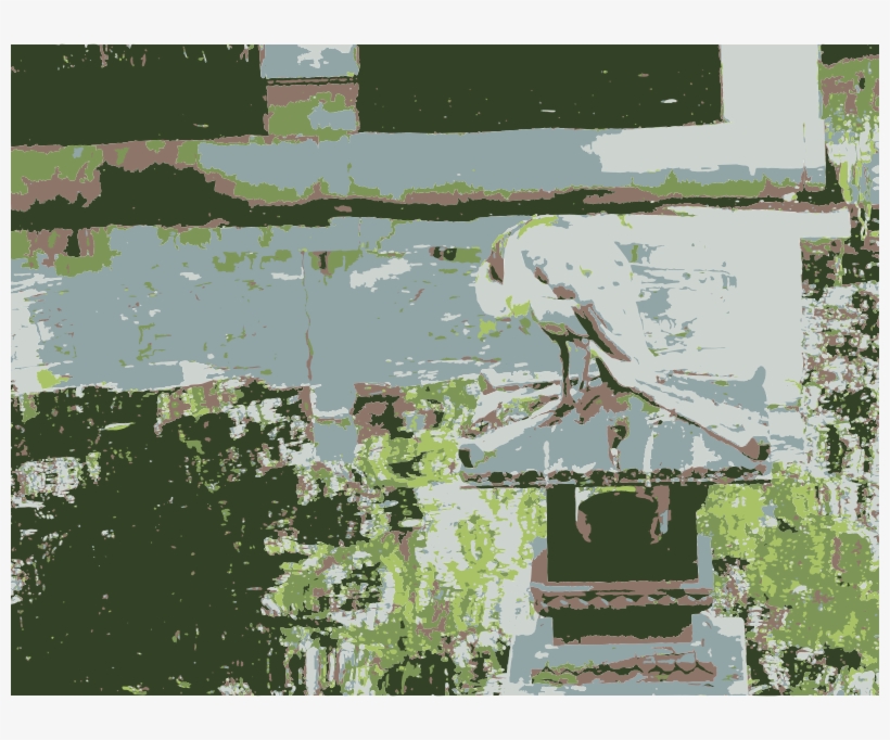 Garden, transparent png