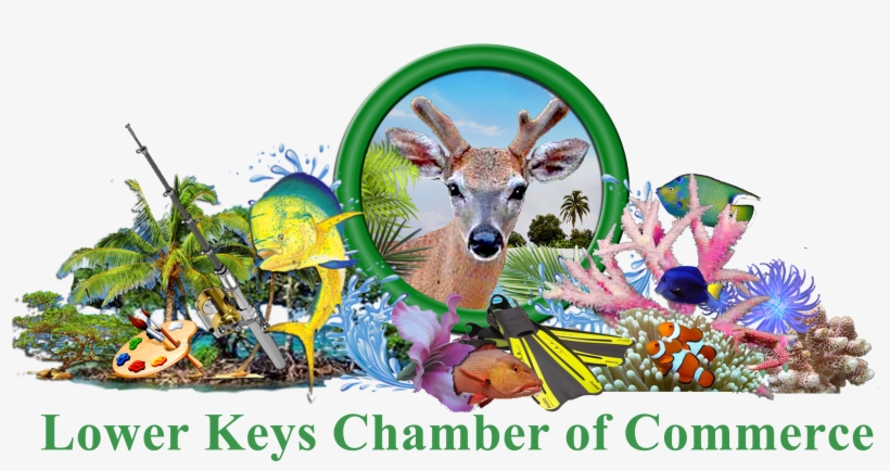 Parent Directory - Key West, transparent png