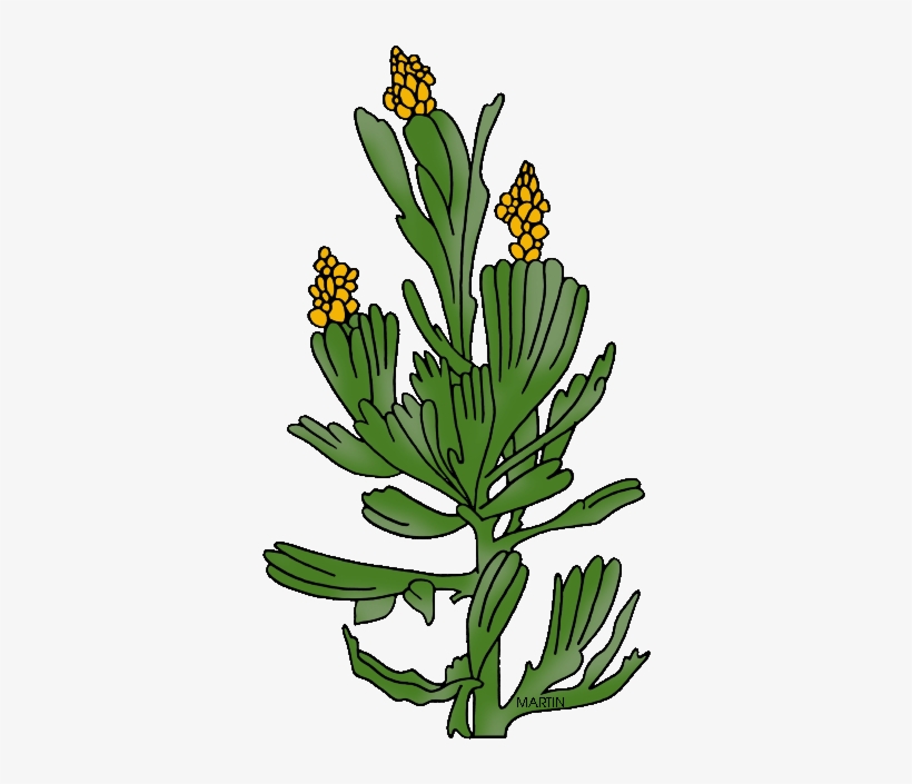 Nevada Clipart Nevada State, transparent png