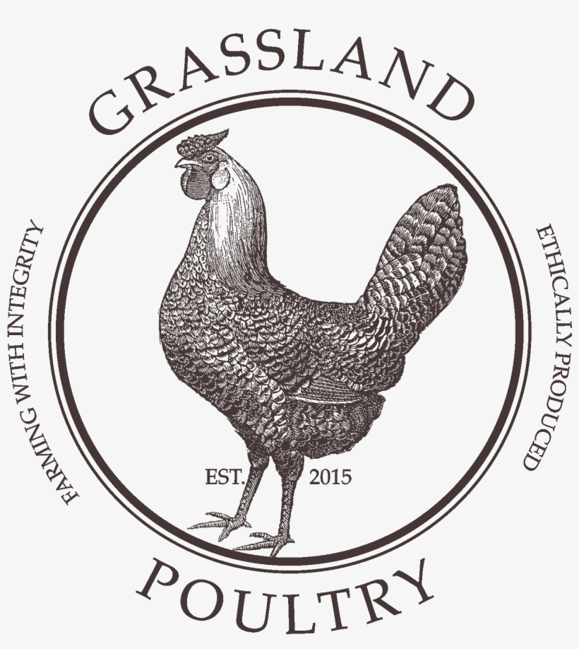 Grassland Poultry - Chicken Whisperer Note Cards, transparent png