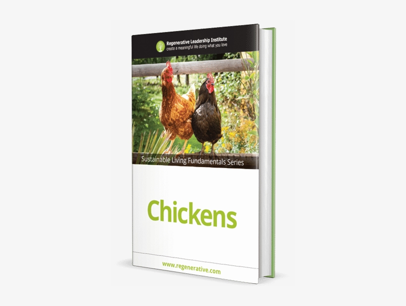 Just $19 - Keeping Chickens 2018 - 16 Month Calendar Includes, transparent png