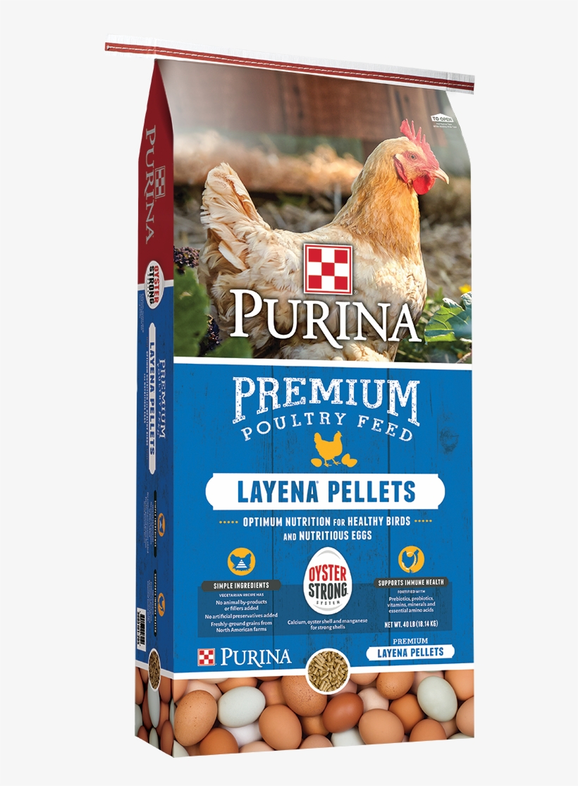 Layena Pellets Oyster Strong Bag Png Poultry & Small - Purina Chicken Layena Pellets, transparent png