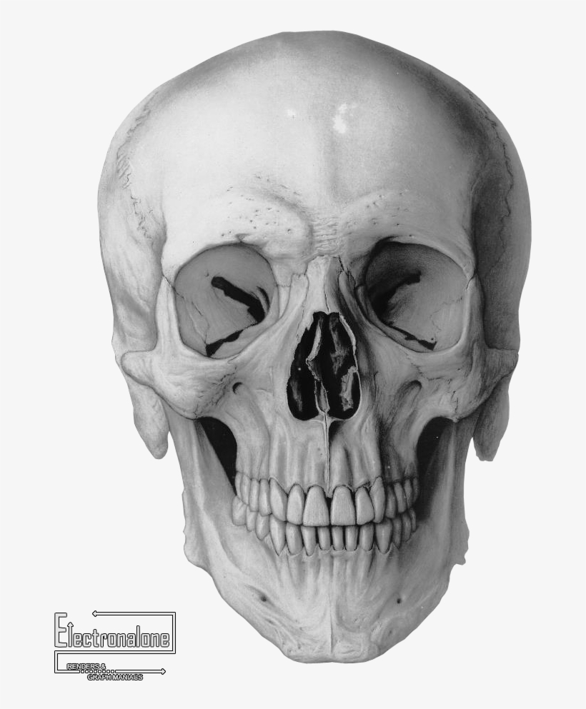 Render Autres - Applied Ethics: Medical Ethics And Other Types, transparent png