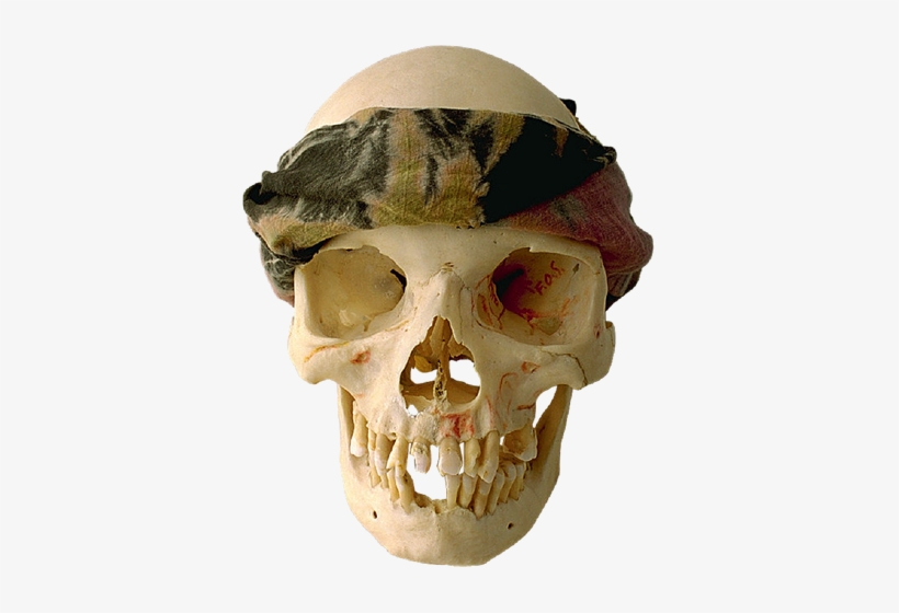 Skull-016 - Cafepress Fireeyed Skull Wall Calendar, transparent png