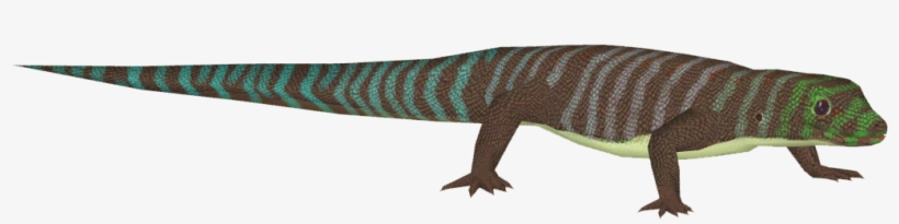 Banded Day Gecko - Monitor Lizard, transparent png