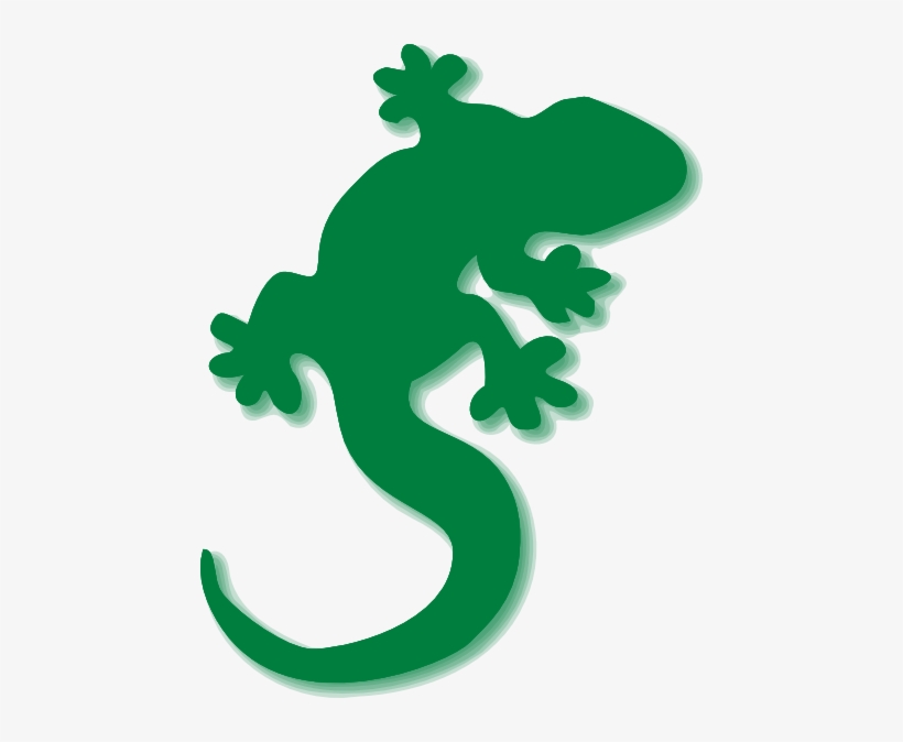 Gecko Png, transparent png