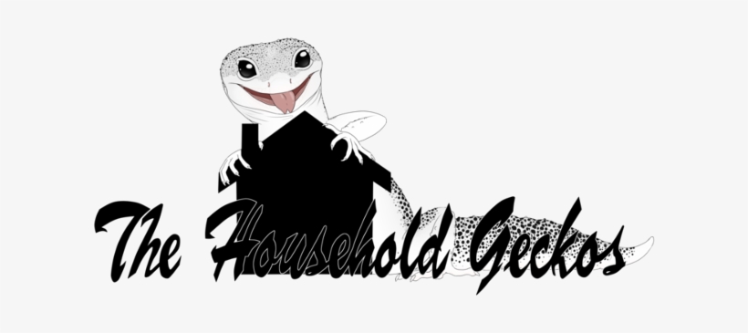 Lizard, transparent png