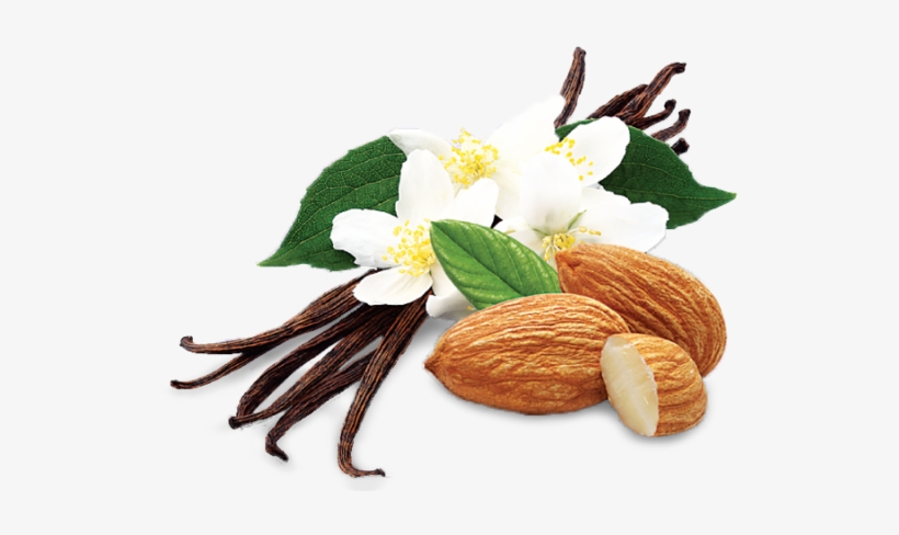 Vanilla Almond Crunch - Umpqua Oats Vanilla Almond Crunch Super Premium Oatmeal, transparent png