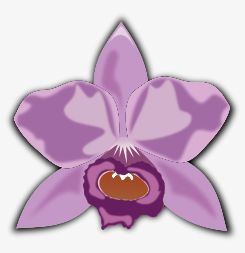Orchid Clipart At Getdrawings - Cattleya Clipart, transparent png