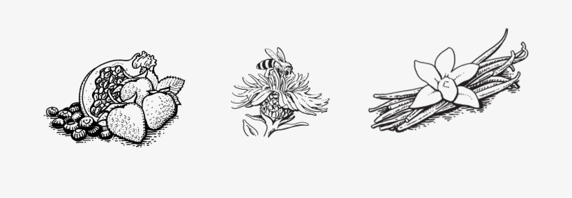 Nishihara Wilkison Design Green Valley Organics Turlock - Sketch, transparent png