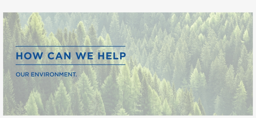 Environmental Infographic - Infographic, transparent png