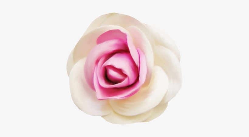 Rose - Portable Network Graphics, transparent png
