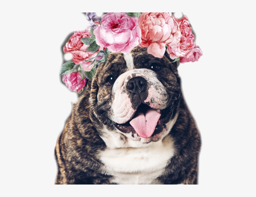 Quadro Decorativo - Flores - 070qdfb, transparent png