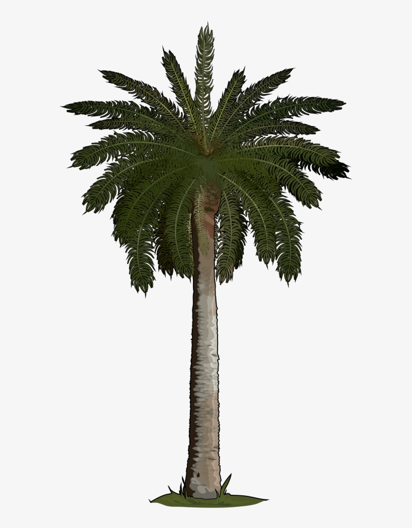 Archivo - Palmera-canaria - Fake Palm Tree, transparent png
