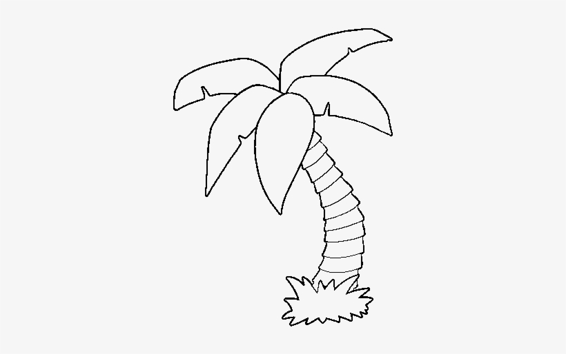 Dibujo De Palmera Para Colorear - Palmera Para Colorear, transparent png