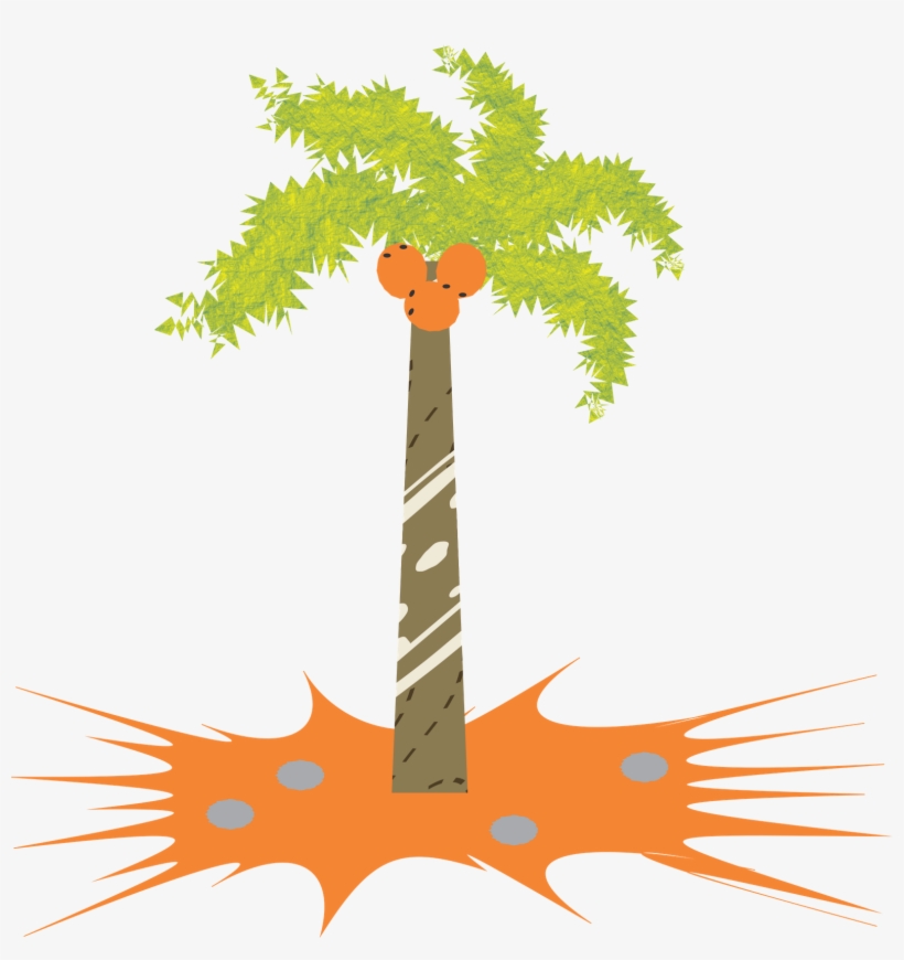 Ejercicio 5 = Palmera - Illustration, transparent png