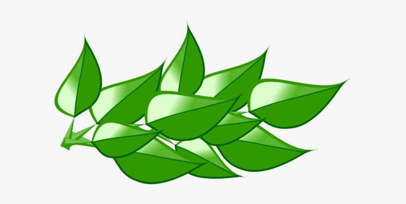 Leaves 4 Clip Art At Vector Clip Art Png - History Of Medicine, transparent png