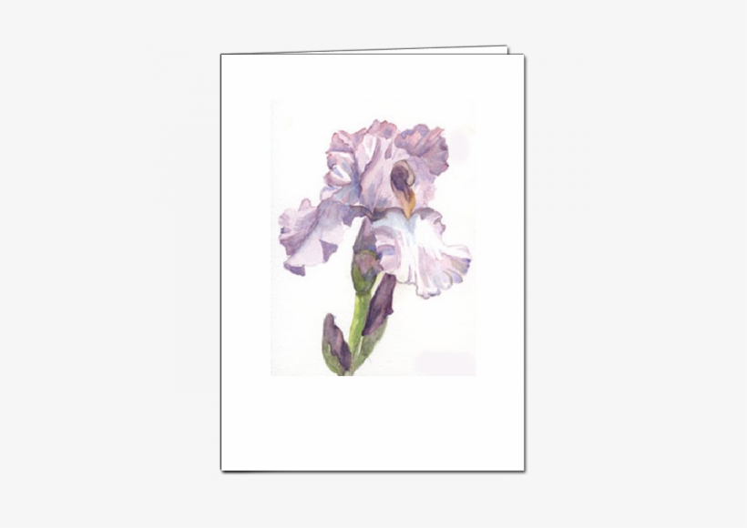 Sdsdssdsd - - Iris, transparent png