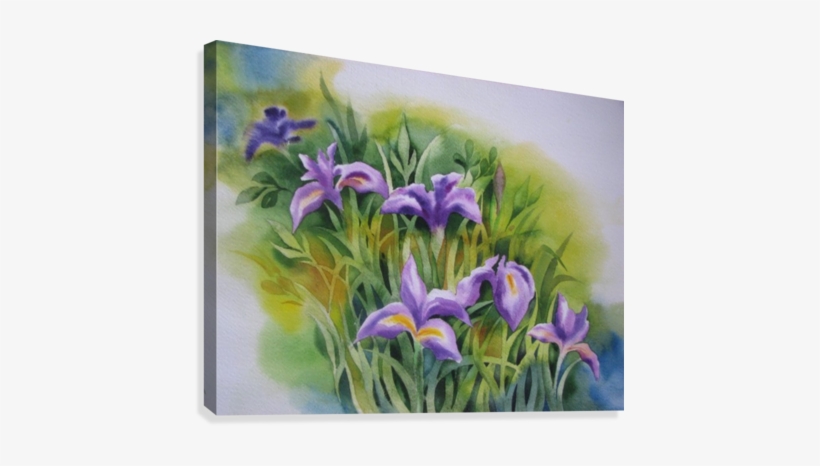 Lily Canvas Print - Iris, transparent png