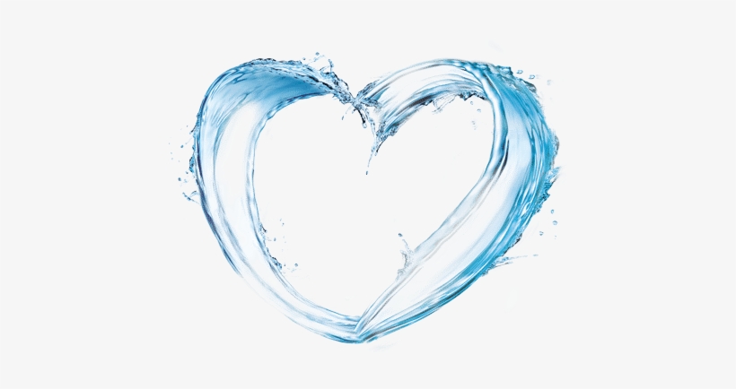 Coracao De Agua - Membrane, transparent png