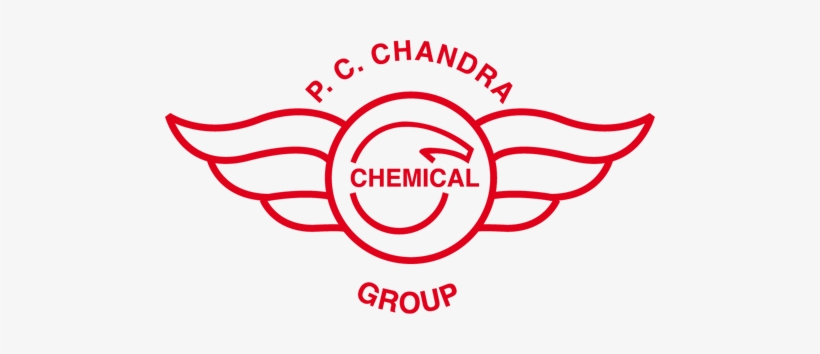 Chandra Chemical Group - W For Wonder Women, transparent png
