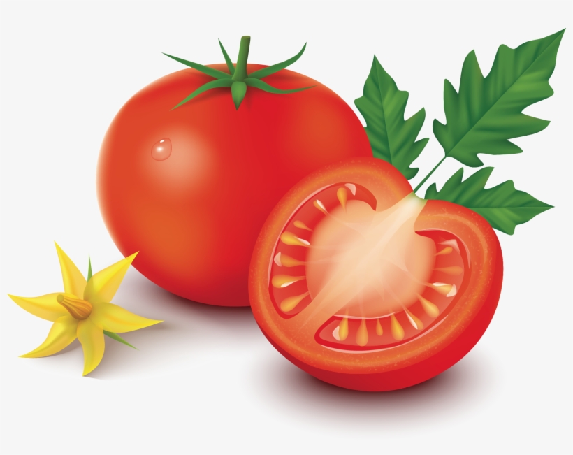 La Tomate Fait Partie De Ces Aliments Que Nous Consommons - Tomato, transparent png