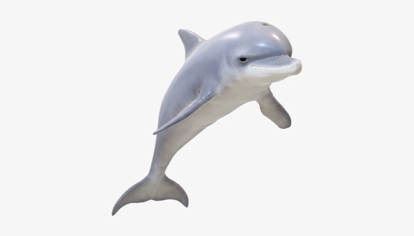 Steve - Portable Network Graphics, transparent png